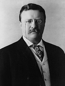 portrait Teddy Roosevelt