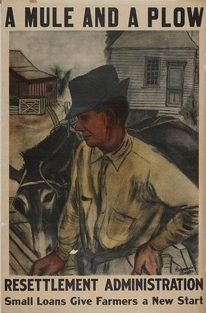 A Mule and A Plow poster