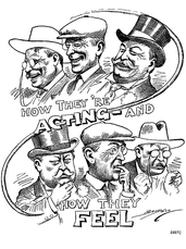 Election of 1912 political cartoon