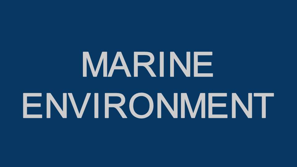 marine environment
